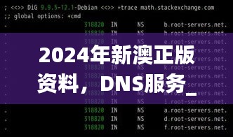 2024年新澳正版资料，DNS服务_QEM23.506极速版