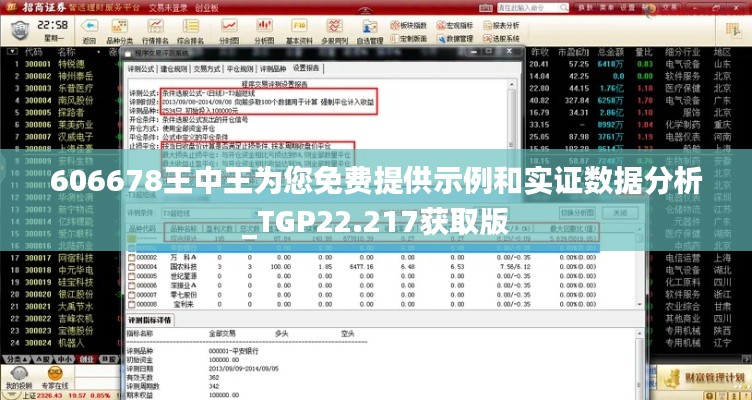 606678王中王为您免费提供示例和实证数据分析_TGP22.217获取版