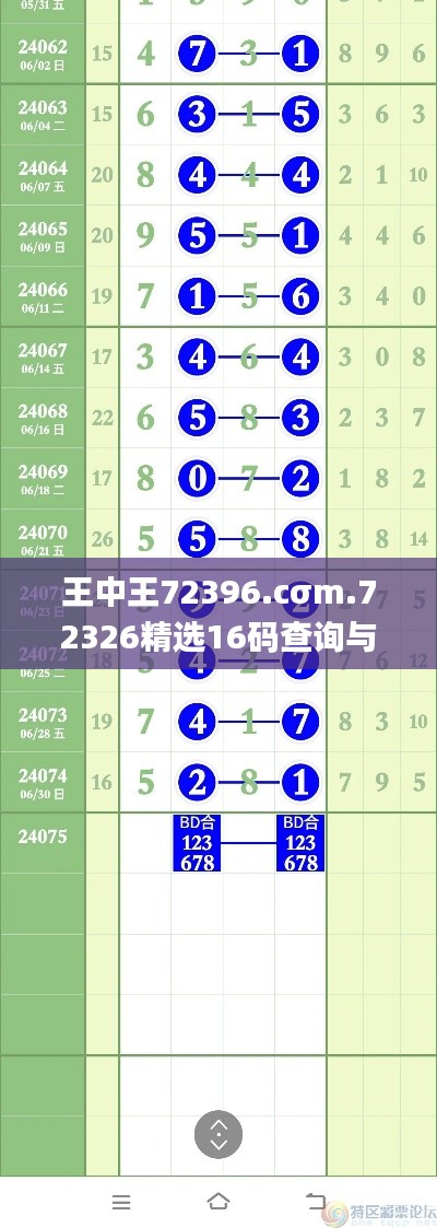 王中王72396.cσm.72326精选16码查询与全面策略设计_KPZ32.294未来版