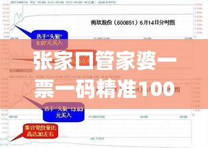 张家口管家婆一票一码精准100，高效支持_EKJ23.789锐意版