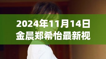 金晨郑希怡合作揭秘，最新视频背后的闪耀故事，2024年独家呈现