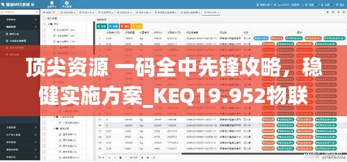 顶尖资源 一码全中先锋攻略，稳健实施方案_KEQ19.952物联网版