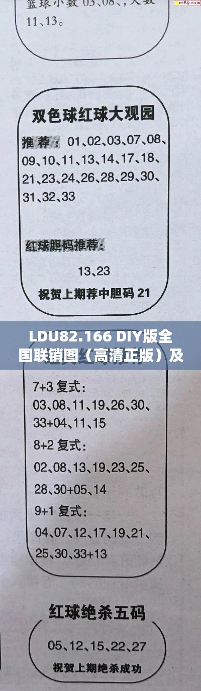 LDU82.166 DIY版全国联销图（高清正版）及安全保障措施