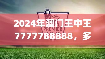 2024年澳门王中王7777788888，多元化诊断解决方案_SJJ28.495儿童版本