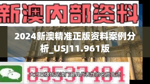 2024新澳精准正版资料案例分析_USJ11.961版