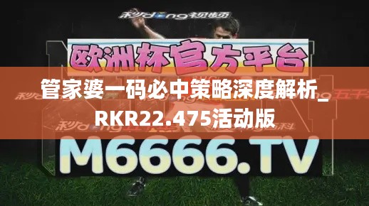 管家婆一码必中策略深度解析_RKR22.475活动版