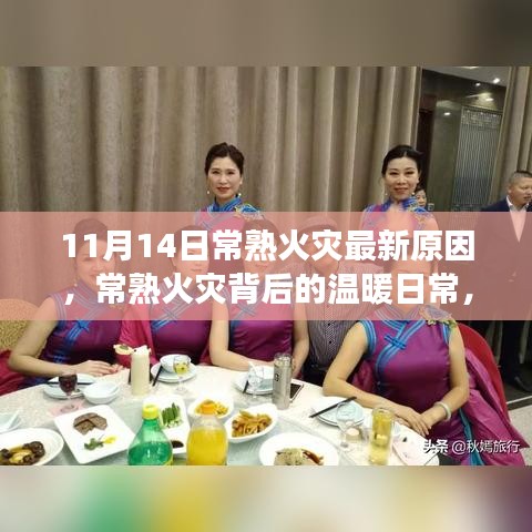 常熟火灾背后的温暖日常与意外友情之旅，最新原因揭秘