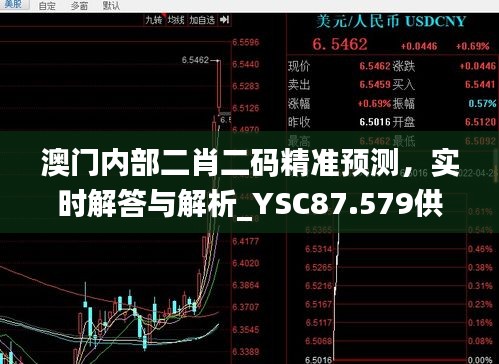 澳门内部二肖二码精准预测，实时解答与解析_YSC87.579供给版