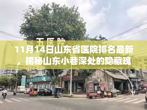 山东医院最新排名揭秘，小巷瑰宝与特色小店的背后故事