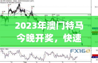 2023年澳门特马今晚开奖，快速解决方案攻略_RNJ28.288触感版