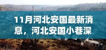 河北安国小巷深处的隐藏瑰宝，特色小店惊喜之旅揭秘