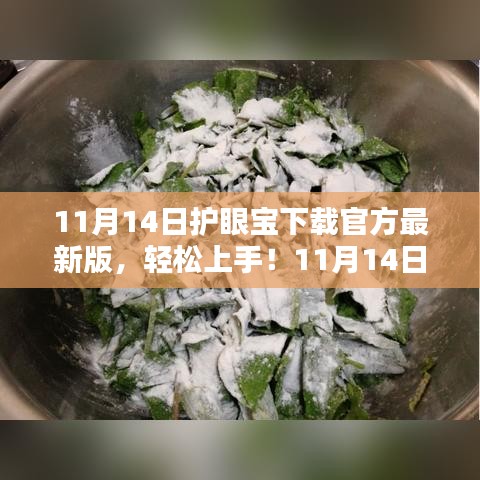 11月14日护眼宝官方最新版下载与安装全攻略，轻松上手，适合初学者与进阶用户