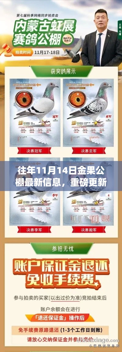 揭秘，金果公棚历年11月14日的最新动态与重磅更新资讯