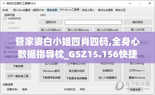 管家婆白小姐四肖四码,全身心数据指导枕_GSZ15.156快捷版