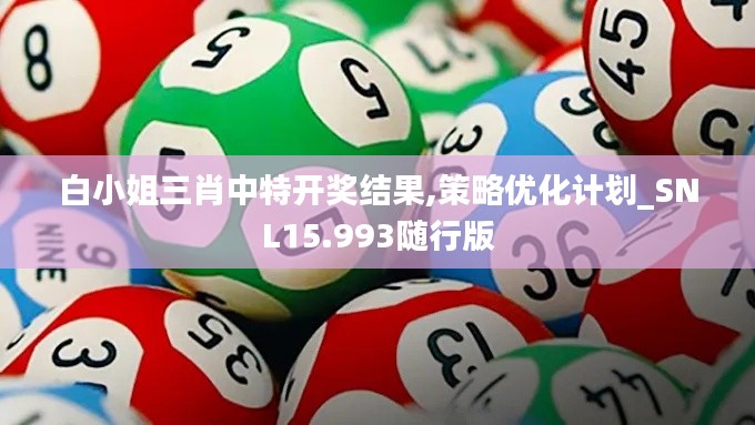 白小姐三肖中特开奖结果,策略优化计划_SNL15.993随行版