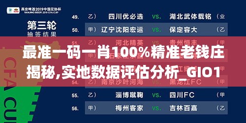 最准一码一肖100%精准老钱庄揭秘,实地数据评估分析_GIO15.920内置版