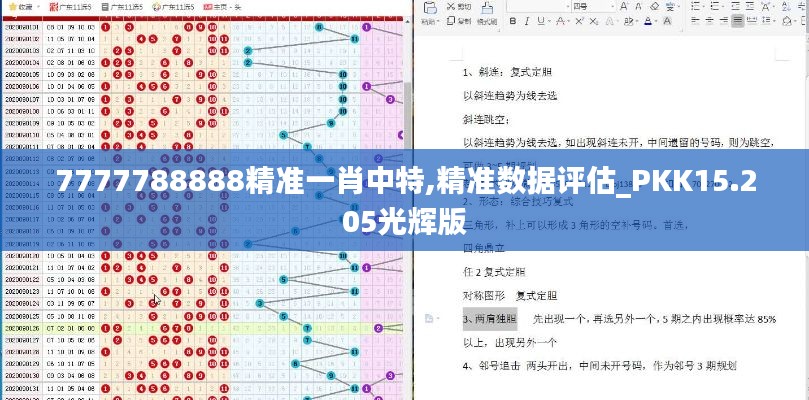 7777788888精准一肖中特,精准数据评估_PKK15.205光辉版