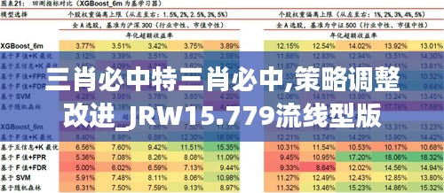 三肖必中特三肖必中,策略调整改进_JRW15.779流线型版