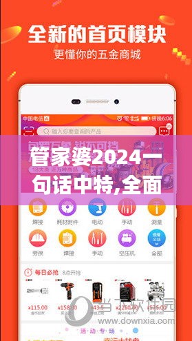 管家婆2024一句话中特,全面信息解释定义_EDJ15.242性能版