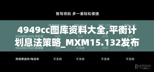 4949cc图库资料大全,平衡计划息法策略_MXM15.132发布版