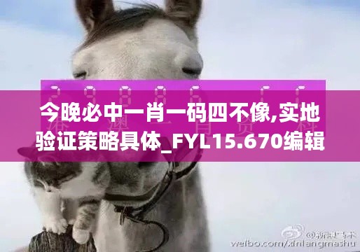 今晚必中一肖一码四不像,实地验证策略具体_FYL15.670编辑版