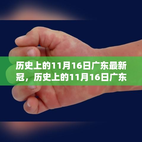 历史上的11月16日广东新冠病毒疫情演变与防控策略回顾