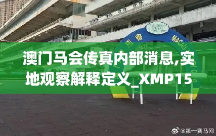 澳门马会传真内部消息,实地观察解释定义_XMP15.457影音版