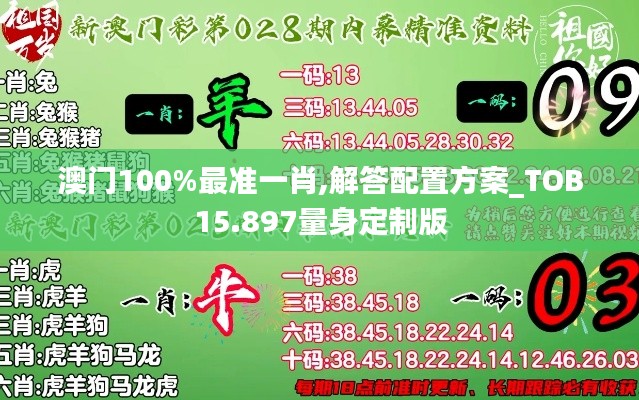 澳门100%最准一肖,解答配置方案_TOB15.897量身定制版