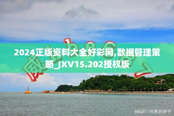 2024正版资料大全好彩网,数据管理策略_JXV15.202授权版