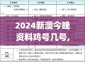 2024新澳今晚资料鸡号几号,方案优化实施_VNP15.399目击版