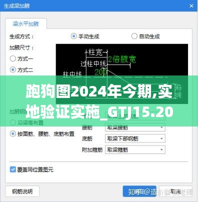 跑狗图2024年今期,实地验证实施_GTJ15.207动态版