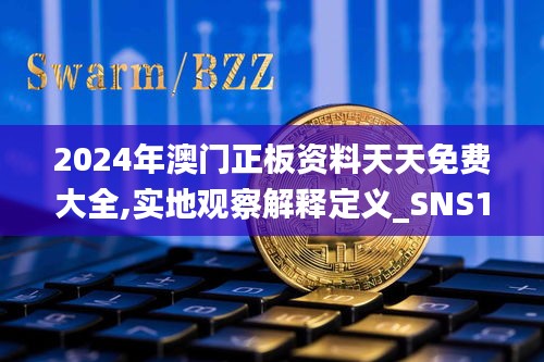 2024年澳门正板资料天天免费大全,实地观察解释定义_SNS15.323影像版