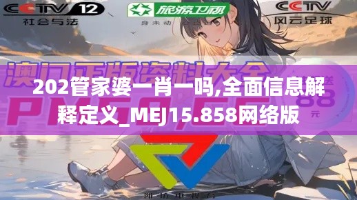 202管家婆一肖一吗,全面信息解释定义_MEJ15.858网络版