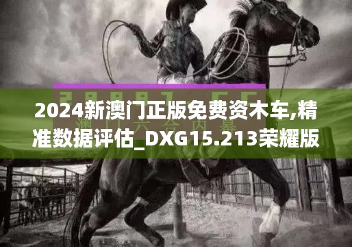 2024新澳门正版免费资木车,精准数据评估_DXG15.213荣耀版