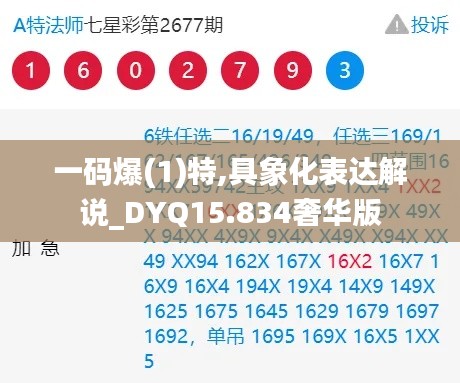 一码爆(1)特,具象化表达解说_DYQ15.834奢华版