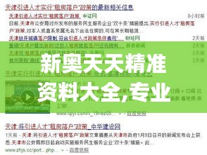 新奥天天精准资料大全,专业地调查详解_XIU15.807并行版