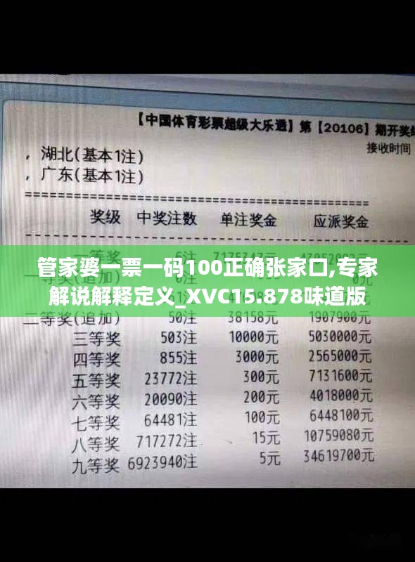 管家婆一票一码100正确张家口,专家解说解释定义_XVC15.878味道版