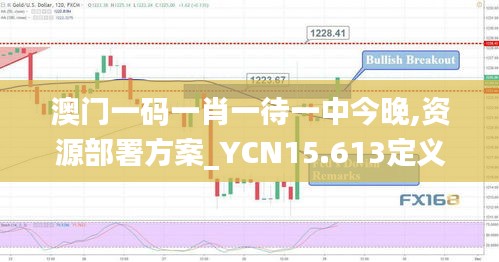 澳门一码一肖一待一中今晚,资源部署方案_YCN15.613定义版