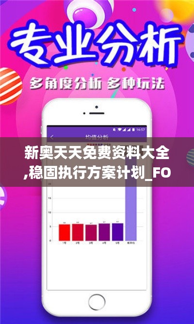 新奥天天免费资料大全,稳固执行方案计划_FOZ15.590稳定版