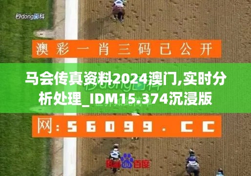 马会传真资料2024澳门,实时分析处理_IDM15.374沉浸版