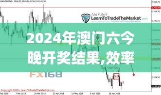 2024年澳门六今晚开奖结果,效率评估方案_BNB15.320未来版