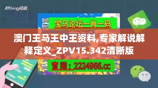 澳门王马王中王资料,专家解说解释定义_ZPV15.342清晰版