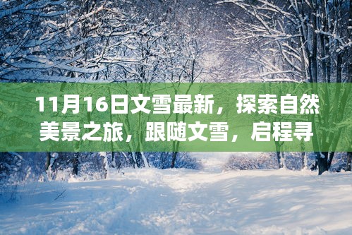 跟随文雪启程，探索自然美景，寻找内心的宁静与平和（最新更新）