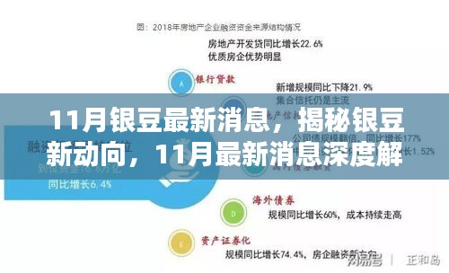 揭秘银豆新动向，深度解析11月最新消息