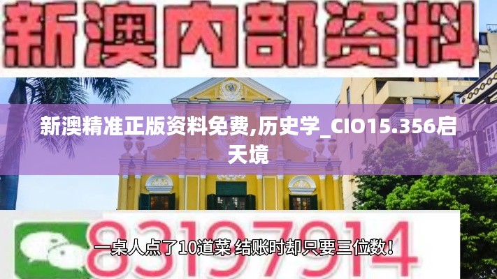 新澳精准正版资料免费,历史学_CIO15.356启天境