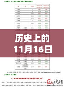 历史上的11月16日大猪价格最新行情深度解析