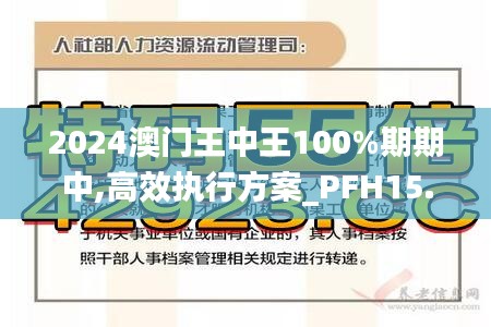 2024澳门王中王100%期期中,高效执行方案_PFH15.516贴心版