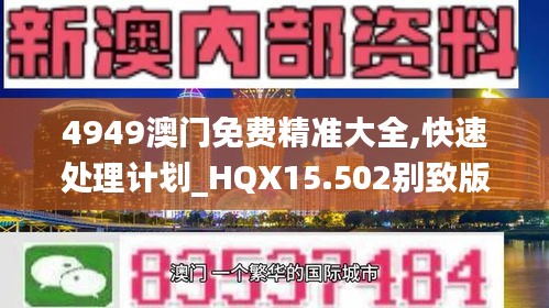 4949澳门免费精准大全,快速处理计划_HQX15.502别致版