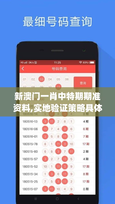 新澳门一肖中特期期准资料,实地验证策略具体_NMJ15.250散热版