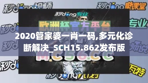 2020管家婆一肖一码,多元化诊断解决_SCH15.862发布版